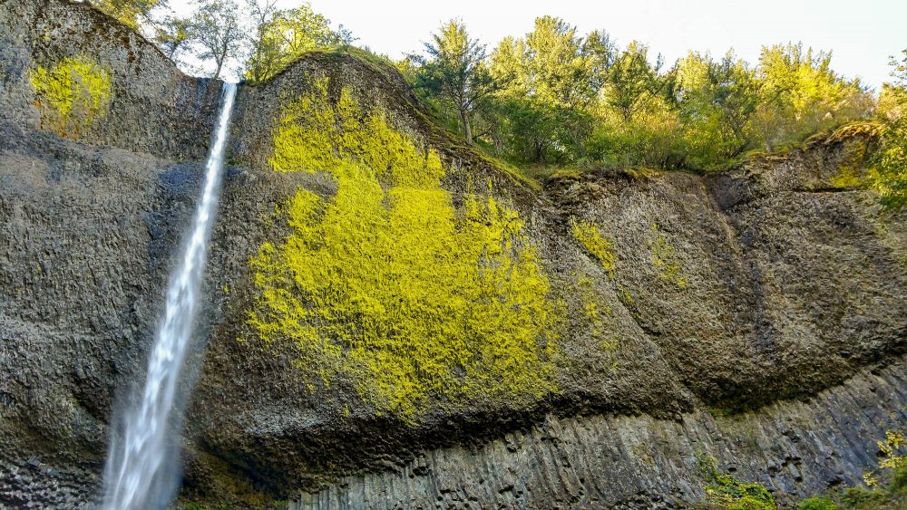 Latourell Waterfall Oregon
