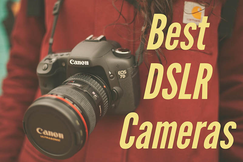 Popular DSLR Cameras