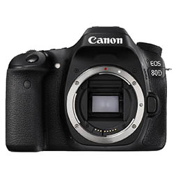 Canon 80 food photography camera