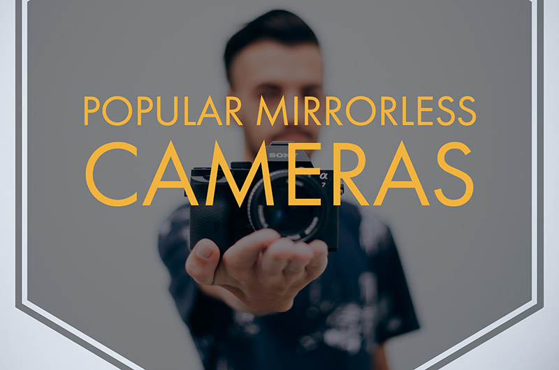 Popular Mirrorless Cameras