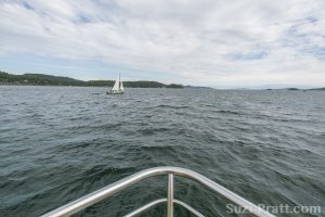 Whalewatching in San Juan Islands