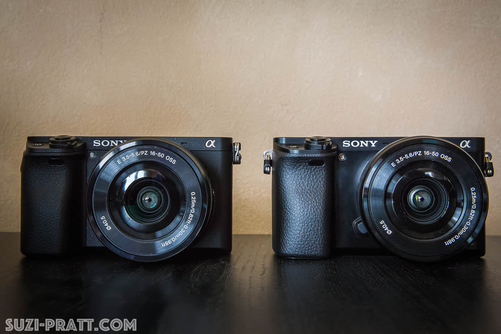Review: Sony a6000 versus a6000 Mirrorless Camera - Intrepid Freelancer