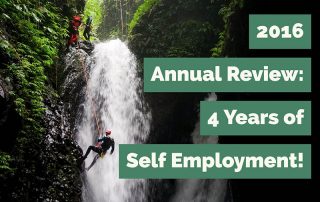 Annual Performance Review 2016