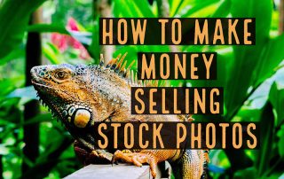 Make money selling stock photos